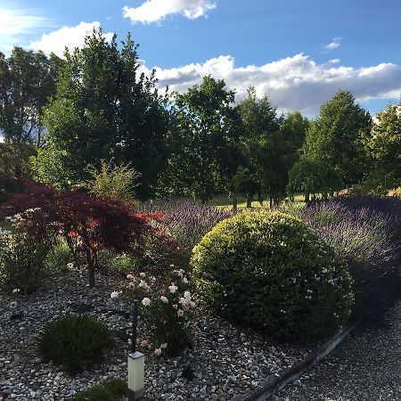 Rockview B&B Alexandra Exteriör bild